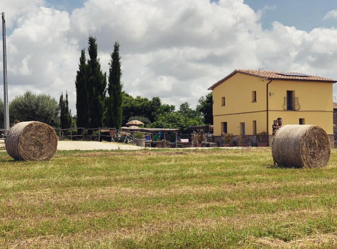 Podere Ficolivo Pitigliano Eksteriør billede